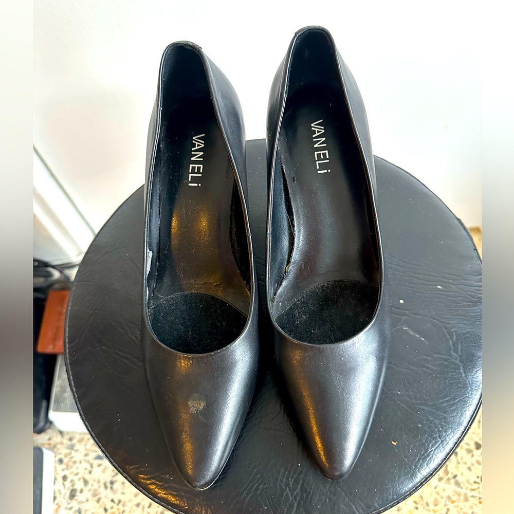 Van Eli Pointed Toe Black Pumps